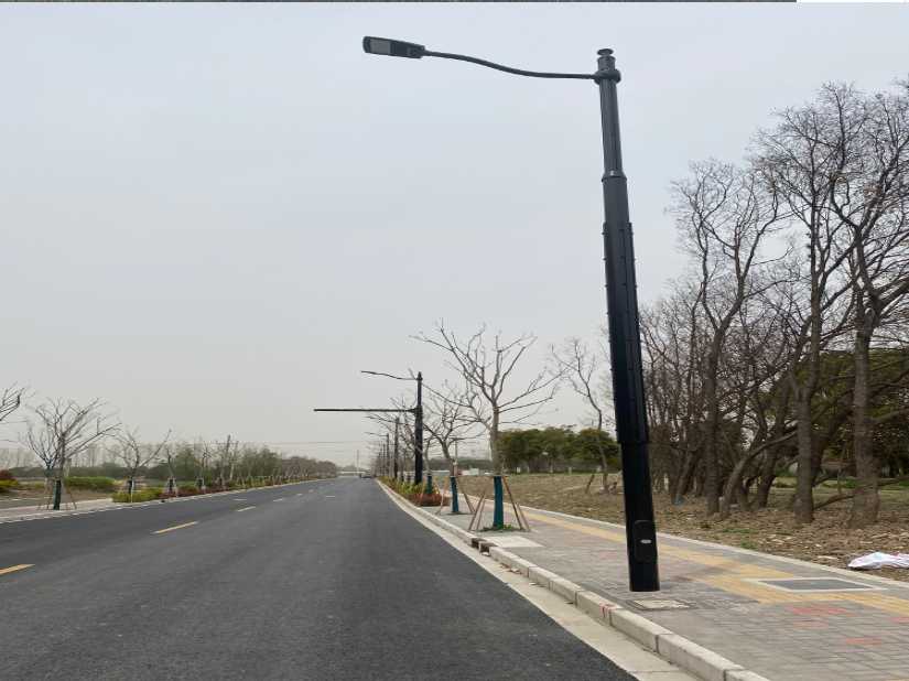松北区上海综合杆 太阳能路灯工程